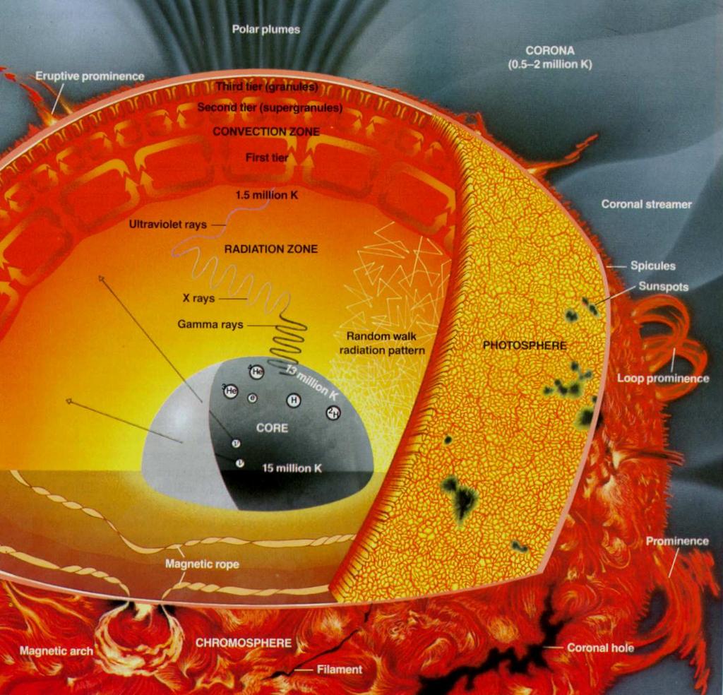 Core Nuclear reactions burn every second ~700 million tons of hydrogen into helium. Radiation Zone Photons bounce around in the dense plasma, taking millions of years to escape the Sun.