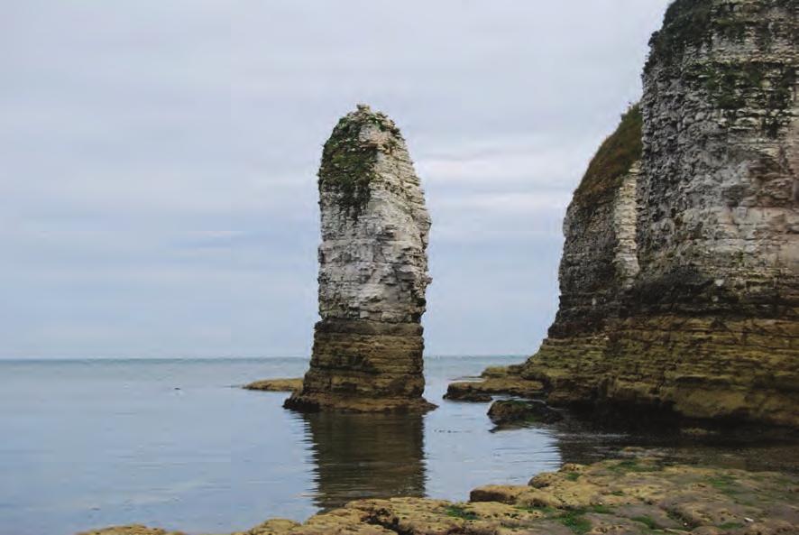 14 3 (b) Figure 5 is a photograph of a sea stack at Flamborough Head, East Yorkshire.