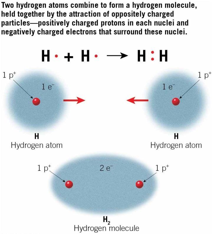 A covalent bond forms when