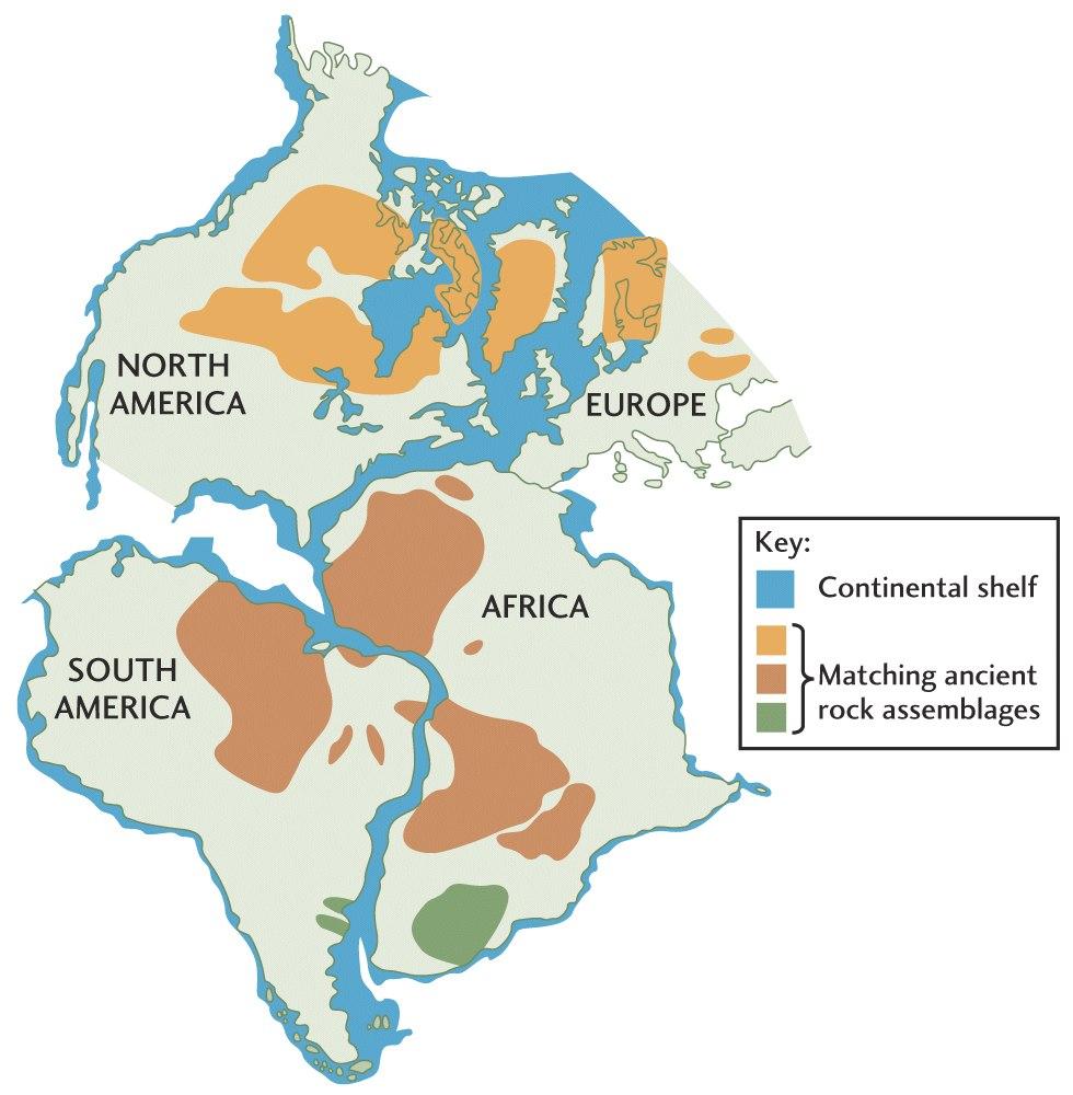 Wegener s hypothesis: 300 million years ago, the continents