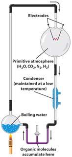 C ozone is transparent to ultraviolet radiation and opaque to infrared radiation.