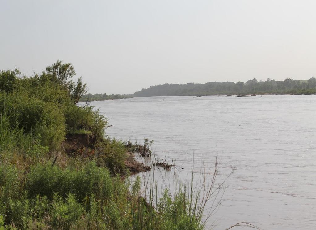 2015 Flood Event South bank of the Red River looking upstream in July 2015 after