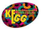 KEGG: Kyoto Encyclopedia of Genes and Genomes KEGG is a database of biological systems which contains: Genetic building blocks of genes and proteins (KEGG GENES) Chemical building blocks of both