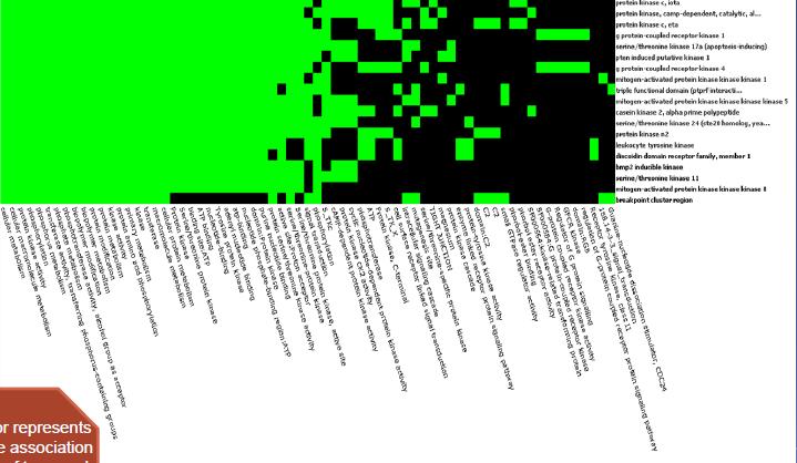 2D View of Gene Function Classification Green color represents the positive association of the pair