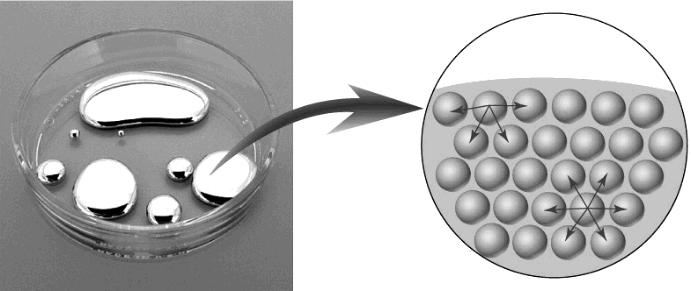 Intermolecular Forces 15 Surface Tension is the resistance of a liquid to spread out and increase