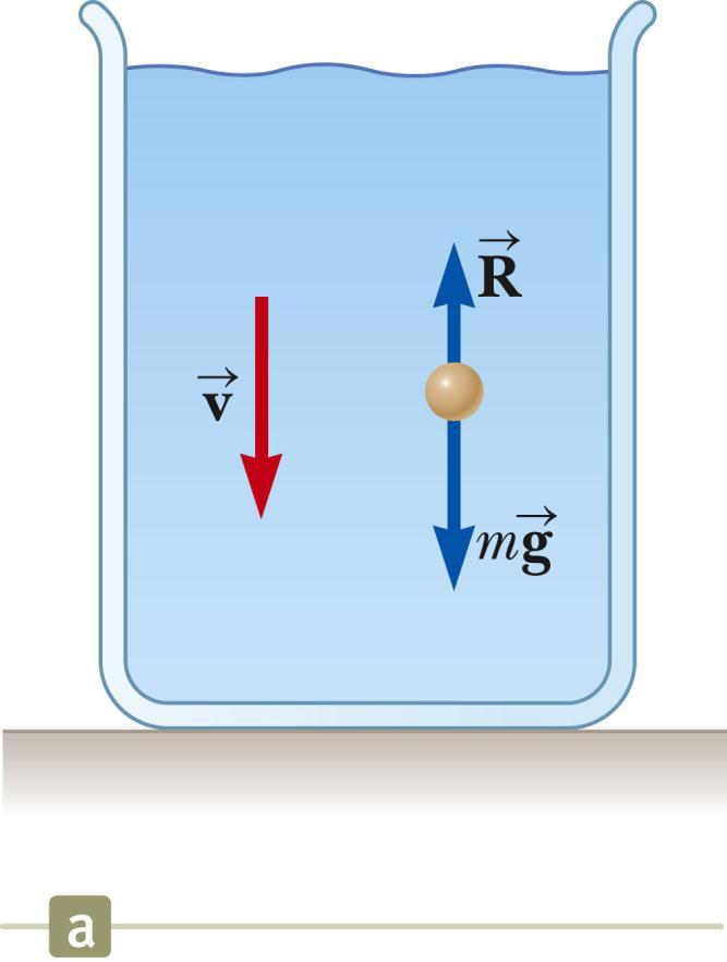 Resistive Force Proportional To Speed, Example Assume a small sphere of mass m is released from rest in a liquid.