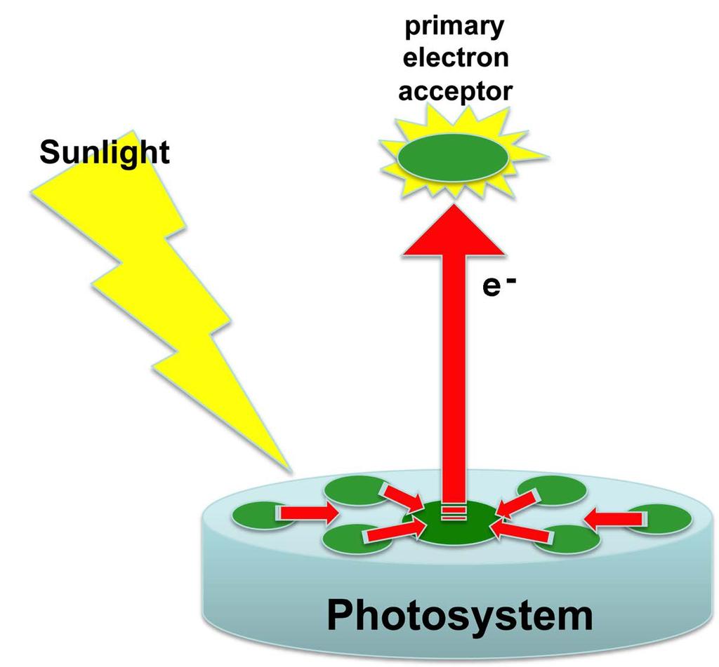 Photosystem solar panels for gathering solar energy and