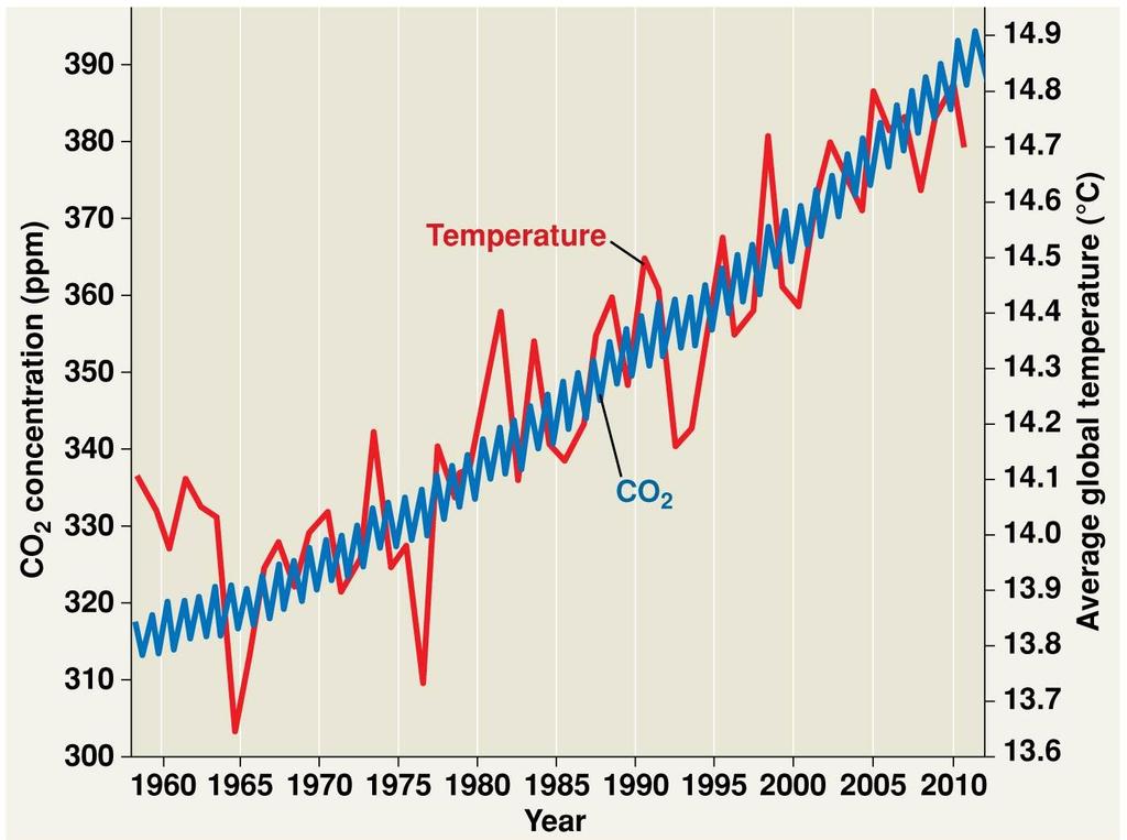 1. What is the relationship between [CO 2 ] and