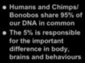 The Human Animal 1 Molecular Evidence Humans and