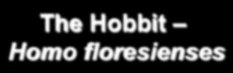The Hobbit Homo floresienses