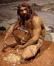 Homo heidelbergensis European similar to Homo