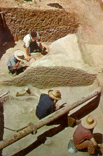 Excavations at