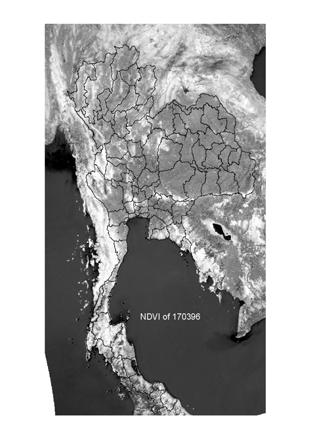 Secondly, the results of a comparison between Palmer meteorological drought indices and the NDVI values of NOAA imageries at the same period of time have been shown in form of digital map of Thailand