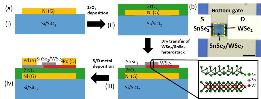 S1. Fabrication process Fig. S1. Device design. a. Fabrication process of WSe 2 /SnSe 2 heterojunction tunnel FET. (i) E-beam evaporation of gate electrode.