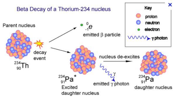 Thorium undergoes radioactive decay to form Protactinium