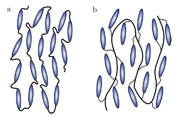Figure 5: (a) Main chain liquid crystal elastomer. Mesogens are incorporated in polymeric chain. (b) Side chain LCE. Mesogens are attached to the main polymeric chain with just one side.