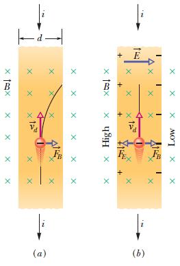 28-5 Crossed Fields: The Hall Effect When a conducting strip carrying a current i is placed in a uniform magnetic field, some charge carriers (with charge e) build up on one side of the conductor,