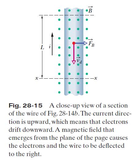 28-8 Magnetic Force on a Current-Carrying Particle Consider a length L of the wire in the figure. All the conduction electrons in this section of wire will drift past plane xx in a time t =L/v d.
