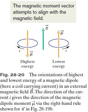 28-10 The Magnetic Dipole Moment, : The coil behaves like a bar magnet placed in the magnetic field. Thus, like a bar magnet, a current-carrying coil is said to be a magnetic dipole.