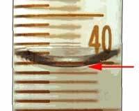 1. The surface of the water in the gauge looks curved! How do I know the right way to read it? As water fills up the measuring tube, a curved surface may form, which is called a meniscus.