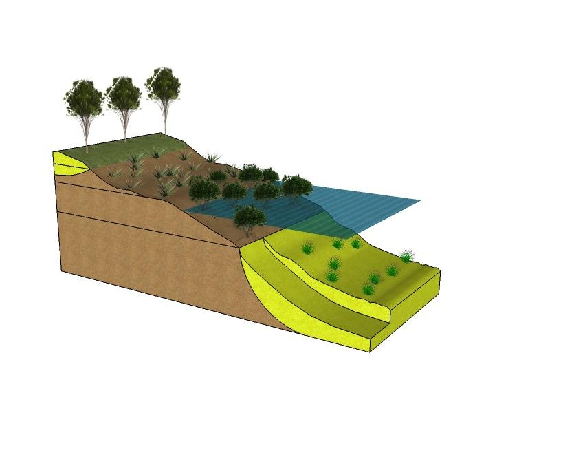 Conceptual Models - Wetland-fringed Coast Conceptual models developed for each shoreline class Coastal wetland shoreline Mid- Holocene emerged sandy