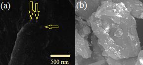 Fig. 2. SEM images of the prepared nanocomposite. XRD patterns shown in Fig. 3 result further certify the formation of Ag NP in cellulose microcrystal.