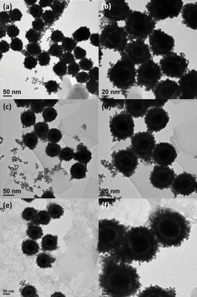 Figure 4 TEM images of AuNP@PSPAA (50 nm AuNP) with different metal nanoshells: (a, b) Pt; (c, d) Pd; (e) Rh, (f) In(OH) 3a. nanoshells, such as smooth shell, flower shell and rough cluster shell.