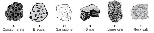 Review Sedimentary Rock Identification 1) Base your answers to questions i through vii on the drawings below