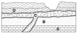 Review Sedimentary Rock Identification 3) The cross section shows a portion of Earth s crust.