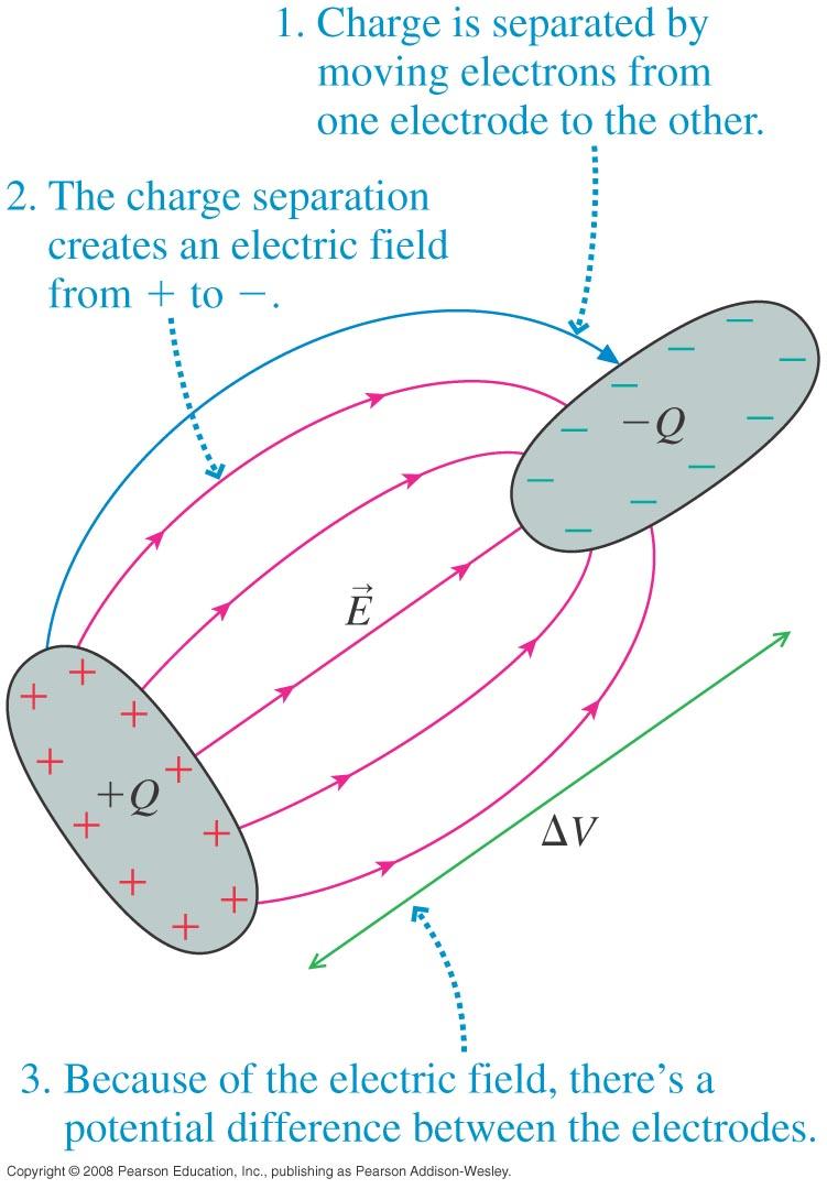 Sources of Electric Potential (30.2) Any charge separation causes a potential difference.