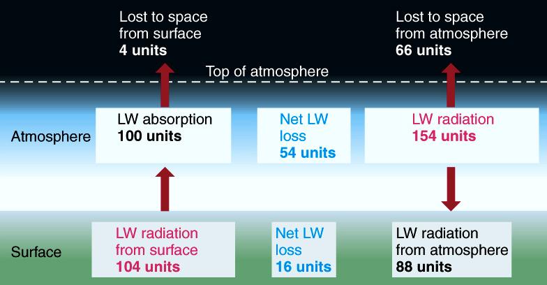 Surface/Atmosphere Radiation Exchange