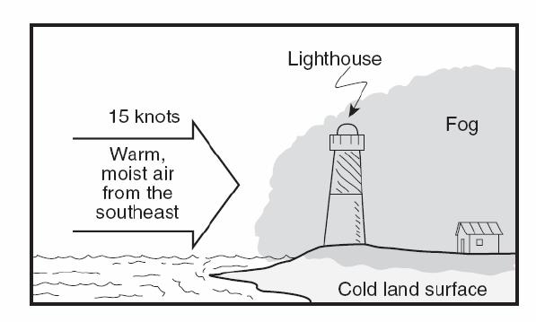 The lighthouse records a temperature of 36 F and a air pressure of 1016.4 mb.