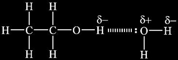in water. Ethanol is soluble in water due to hydrogen bonding.