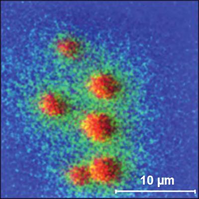 In only a 6 minute acquisition the micron-sized droplets are spatially resolved, and high mass resolution spectra in a single analysis.