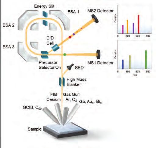TANDEM MASS SPECTROMETERS Maximum 2D/3D Information Content The Power of And provides the capability for parallel and synchronous TOF-SIMS (MS1) and tandem MS (MS2) imaging.