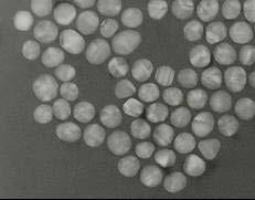 Gold nanoparticles 20nm