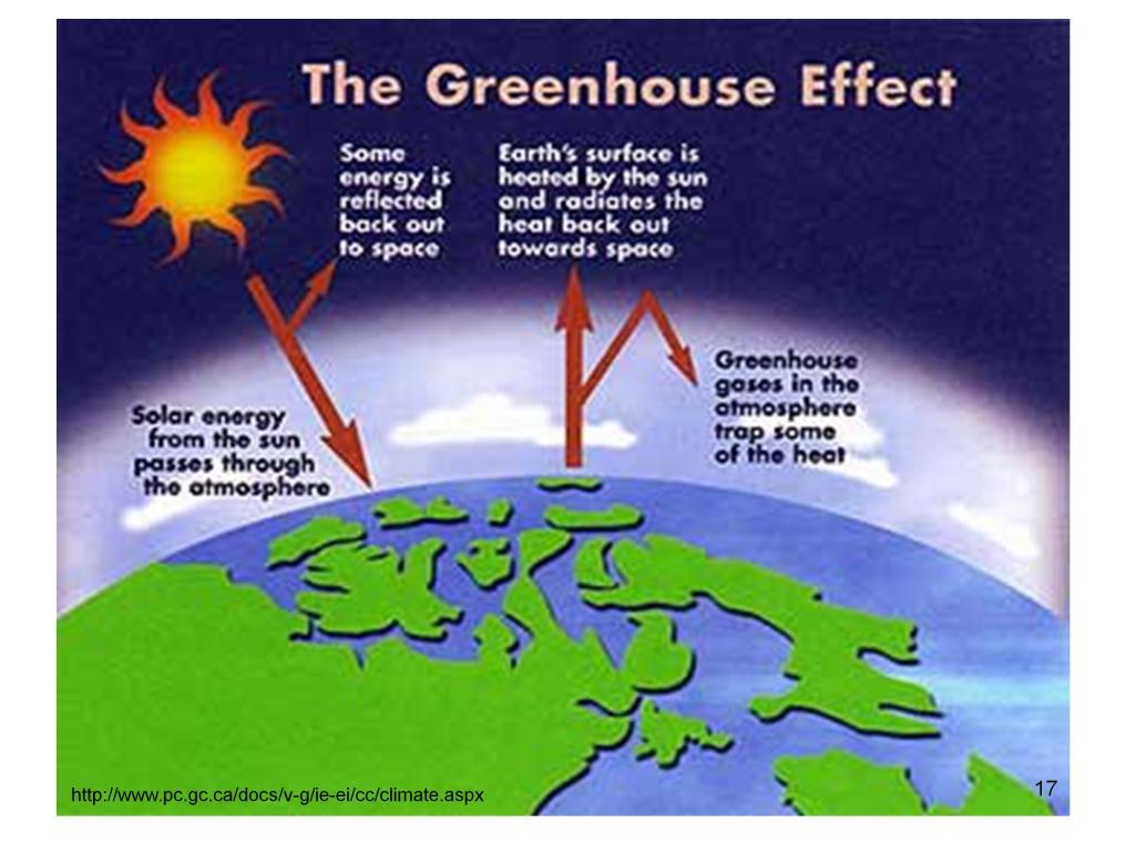 Teacher: Raise your hand if you have heard of the Greenhouse Effect. Would someone like to try to explain or guess what is might mean?