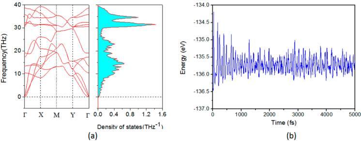 Figure 3. (a) Phonon dispersion band structures and the corresponding phonon density of states of the z-gmo.
