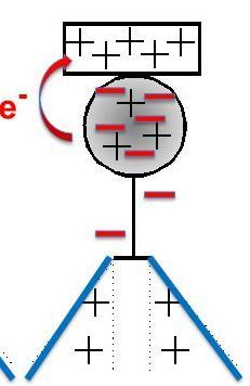 touch - There is a transfer of electrons from the object that has more electrons to the