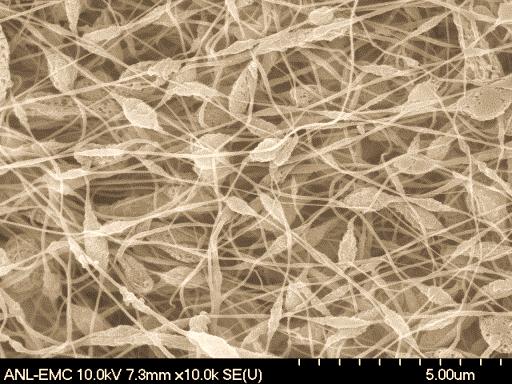 Technology Innovation Porous Nano-Network Electrode (PNNE) via Electrospin at