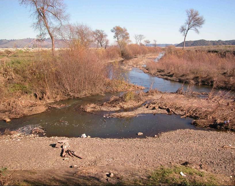 Figure 2: Photograph looking upstream along Pajaro River at