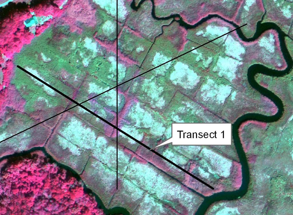 Figure 2. Leica ADS40 color infrared image of a portion of the Ragged Rock salt marsh study area. Values for relatively pure stands of P. australis, Typha spp. and S.