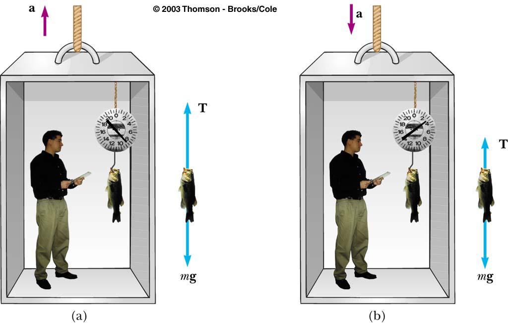 Example: with balance scale marked in Newtons, not the usual scale, but a quite reasonable one. A 00 kg man stands on a bathroom scale in an elevator.