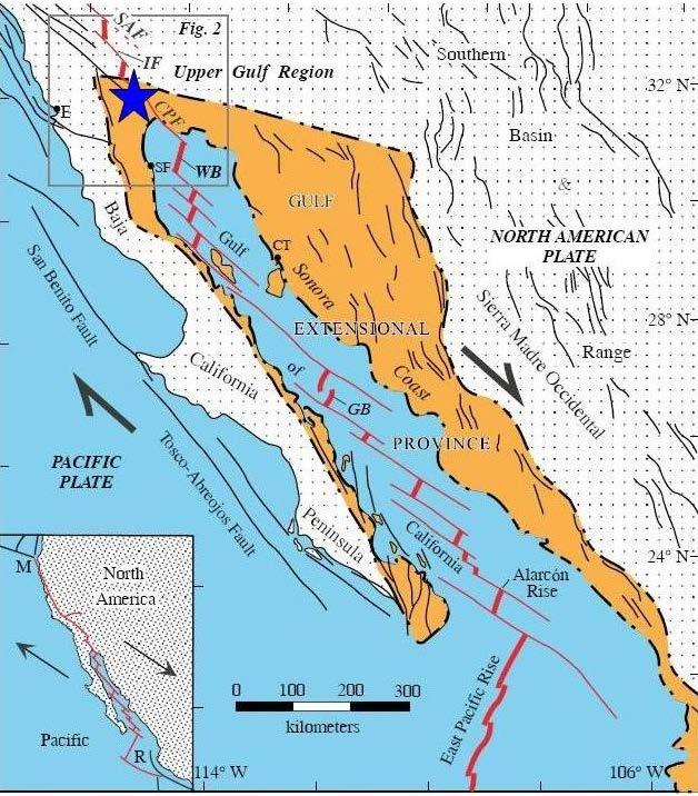 West Coast: Spreading Divergent Plate Margin Golf of California opens like a tectonic zipper Baja California moves away