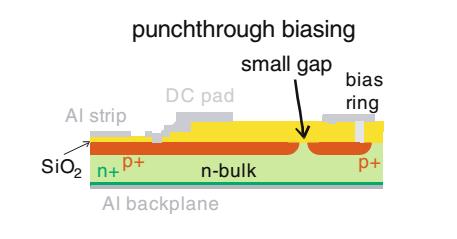 Punch through: Very similar to a FOXFET but without a gate and a smaller gap. The size of the gap and the electric properties of the oxide define the resistance of the structure.