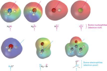 Electron-rich sites react with electron-poor sites Bonds made when electron-rich atom donates a pair of electrons to an electron-poor atom Bonds broken when one atom leaves with both electrons from