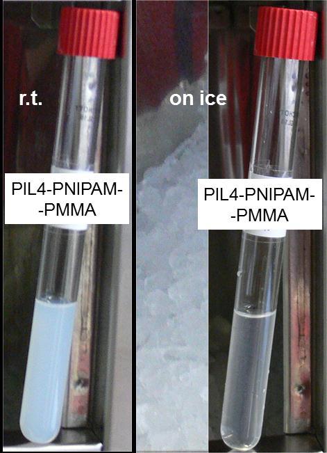 explanation during cooling: the solubility of the PNIPAM block increases and pulls the presumably quite short PMMA into the water during heating: the whole
