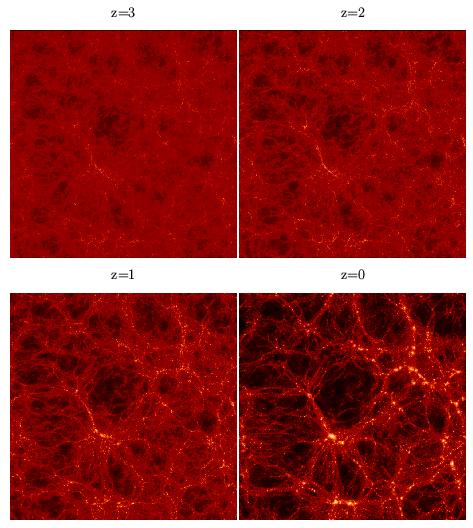Evolution of Structure in a Simulated Universe filled with Cold Dark Matter and