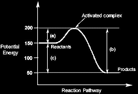 Endothermic Reactions o Reactions that absorb energy Heat is a reactant in the reaction Hreactants < Hproducts C(s) + H2O(g) + 113kJ CO(g) + H2(g) Heats of