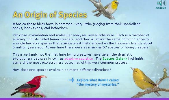 What is speciation? http://www.pbs.